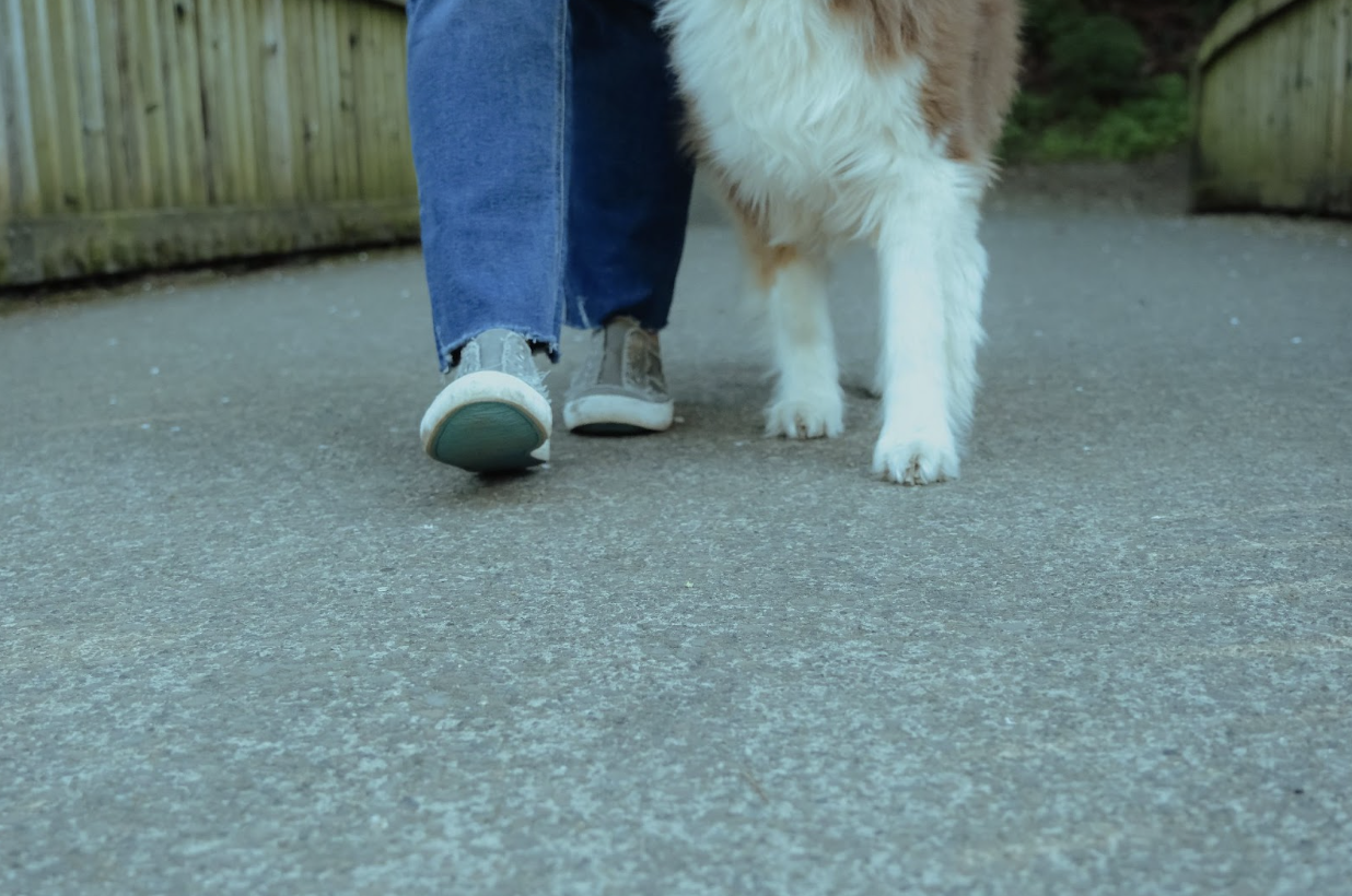 Michelle walking with Maggie, her Australian Shepherd